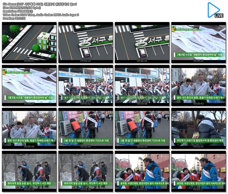 [2017 서구톡톡 01회] 새봄맞이 환경정비의 날 사진